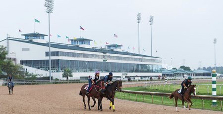 Morning training at Sam Houston Race Park