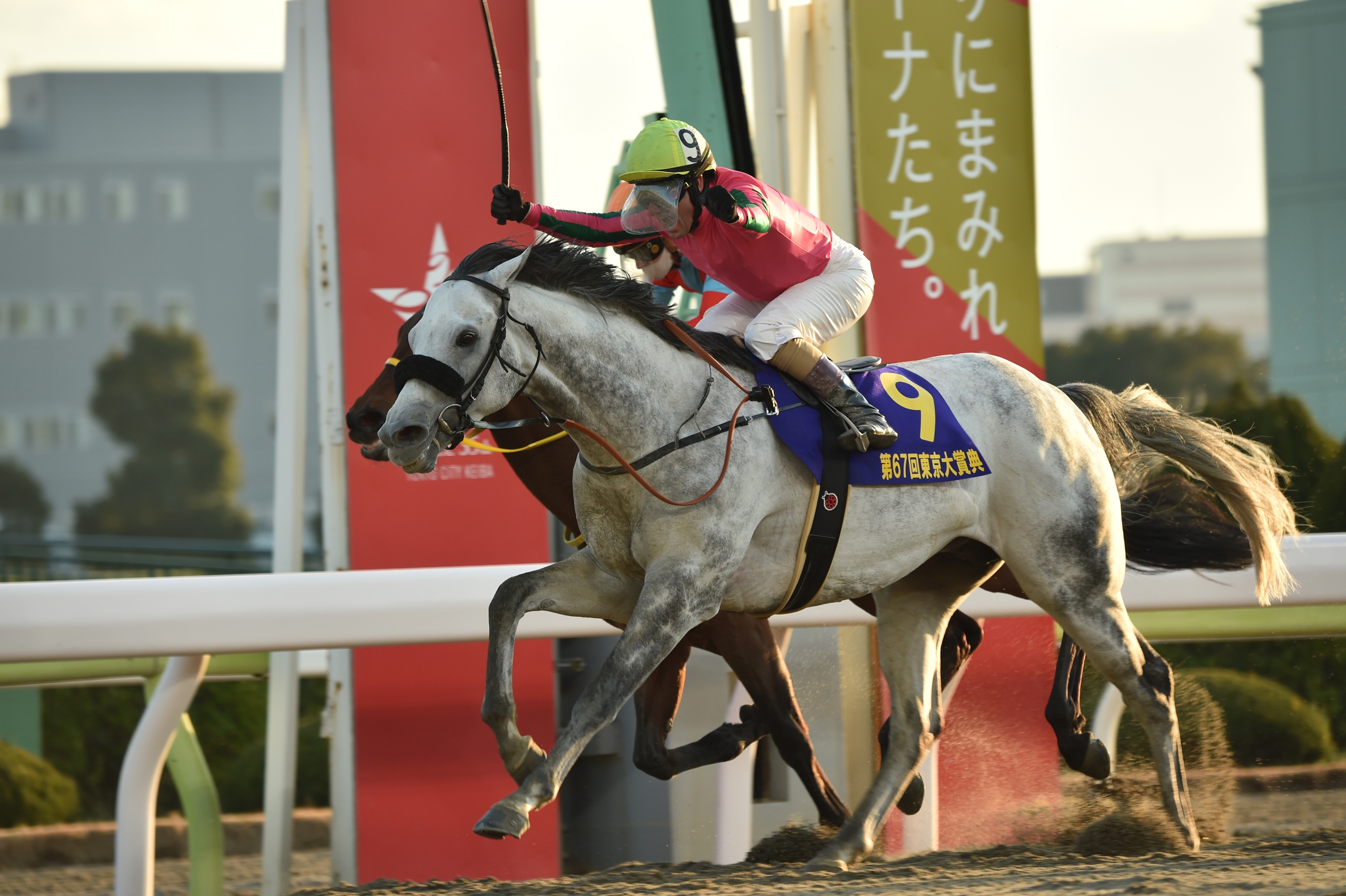 Omega Perfume Wins Fourth Straight Tokyo Daishoten BloodHorse