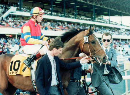 A.P. Indy at the 1991 Hollywood Futurity at Hollywood Park