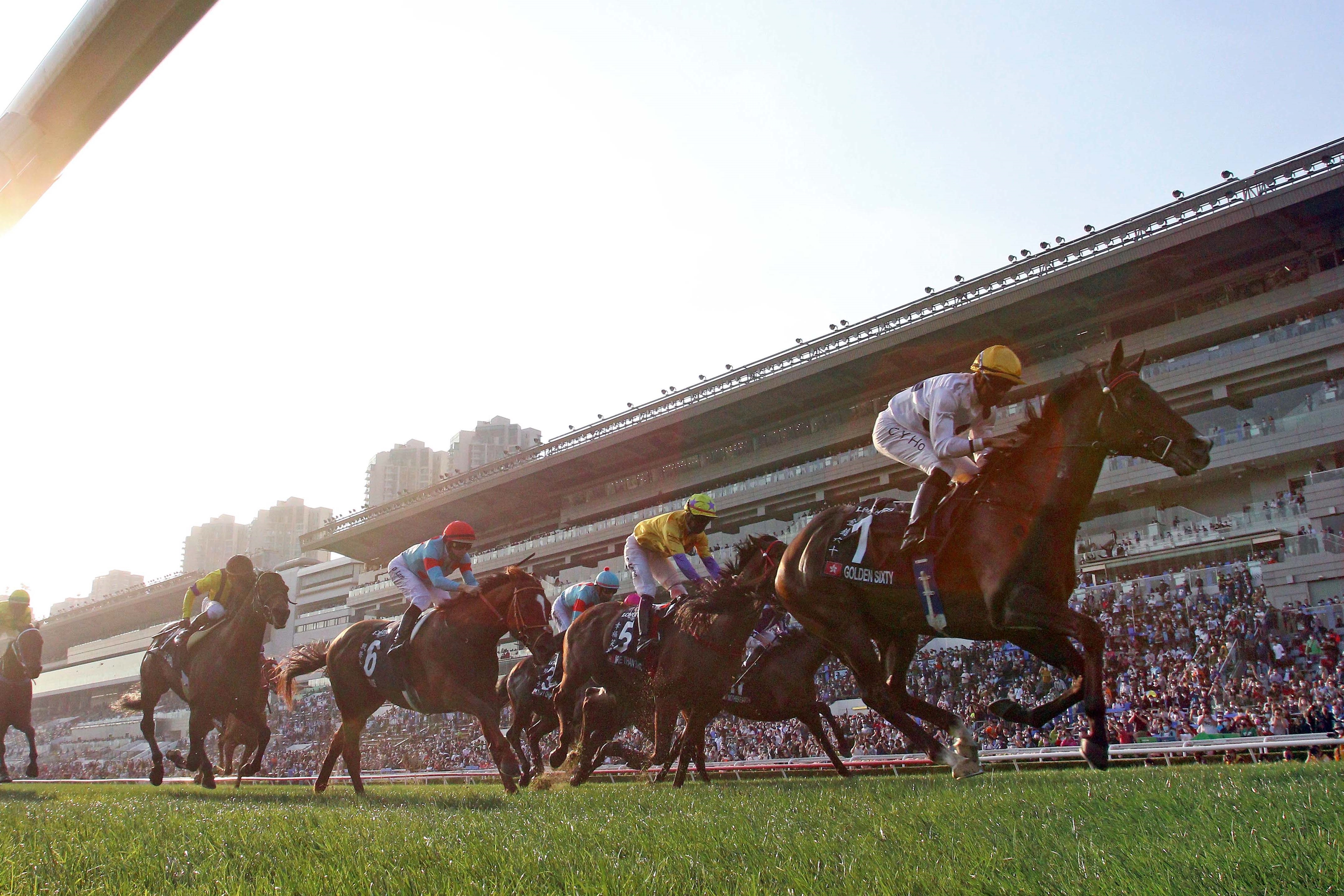 Golden Sixty Wins 16th Straight Race in Hong Kong Mile BloodHorse