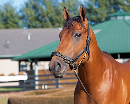 Corniche during a break at WinStar Training Center