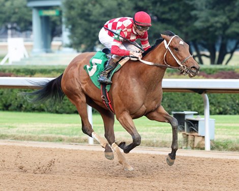 Li'l Tootsie Eyes First Stakes Win in American Beauty - BloodHorse