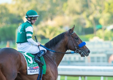 Flightline pauses on his way to the winner's circle after taking the opening-day Malibu Stakes in 2021 at Santa Anita Park