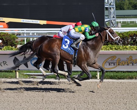 Shamrocket gets up over Sir Ollie to win the Sunshine Millions Classic Stakes at Gulfstream Park