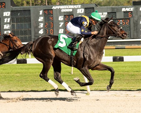 Outfoxed wins the Gasparilla Stakes at Tampa Bay Downs