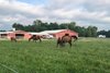 Springcliff Farm in Martinsville, Indiana