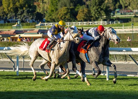 Zero Tolerance (inside) fends off Tapwater to win the Las Cienegas Stakes at Santa Anita Park
