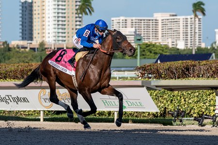 Speaker's Corner wins the Fred W. Hooper Stakes at Gulfstream Park