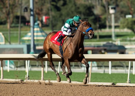 Edgeway Tops Santa Anita Stakes Action