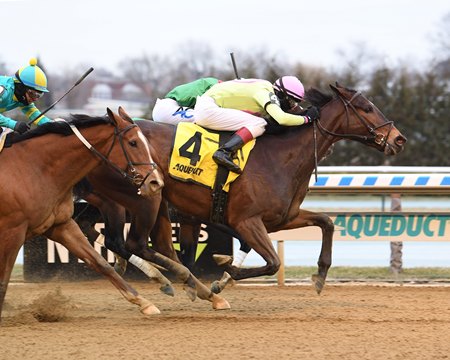 Battle Bling wins the Ladies Stakes at Aqueduct Racetrack