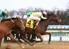 Battle Bling wins the Ladies Stakes Sunday, January 16, 2022 at Aqueduct