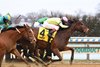Battle Bling wins the Ladies Stakes Sunday, January 16, 2022 at Aqueduct