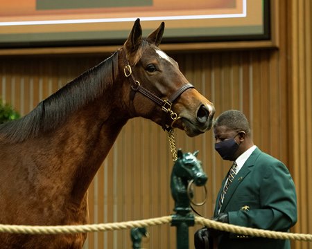 Crowning Jewel in the ring at the Keeneland January Sale