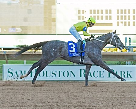 Pauline's Pearl wins the Houston Ladies Classic Stakes at Sam Houston Race Park