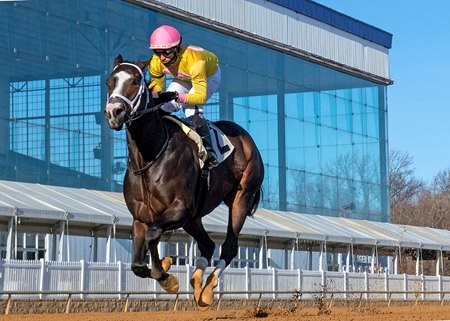 Special Reserve Making Season Debut in De Francis Dash - Maryland Jockey  Club