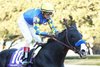 Newgrange wins the Southwest Stakes Saturday, January 29, 2022 at Oaklawn Park
