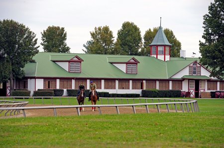 Horses training at Calumet Farm
