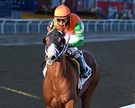 First Constitution wins the Jazil Stakes at Aqueduct Racetrack