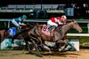 Call Me Midnight defeats Epicenter and Pappacap in the Lecomte Stakes at Fair Grounds Race Course