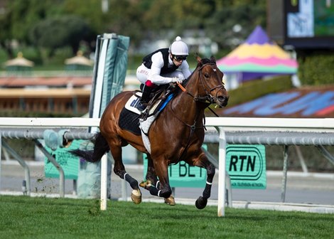 Hit the Road, Bodhicitta Work for Pegasus Day Starts - BloodHorse