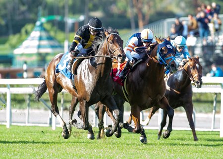 Chewing Gum (left) outfinishes Beer Can Man (middle) to win the 2022 Joe Hernandez Stakes at Santa Anita Park