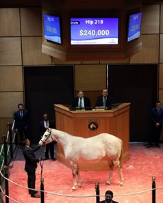 Cocktail Party in the ring at the Fasig-Tipton Kentucky Winter Mixed Sale
