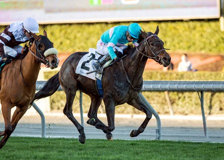 Ouraika holds off Urban to win the Sweet Life Stakes at Santa Anita Park