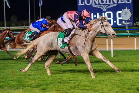 Lord Glitters wins the Singspiel Stakes at Meydan Racecourse
