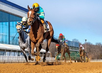 Brandy's Girl - Horse Profile - BloodHorse