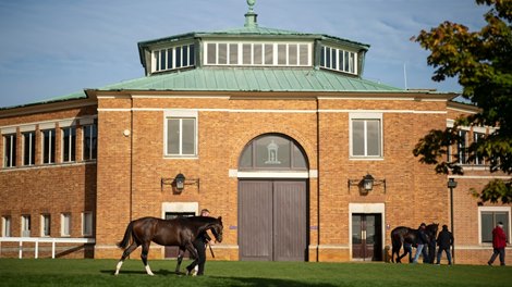 Catalog for Tattersalls Online September Sale Out Now