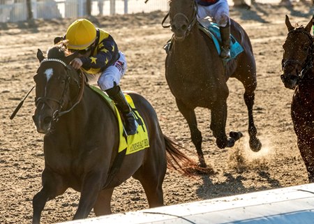 Olympiad wins the Mineshaft Stakes at Fair Grounds Race Course