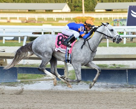 C2 Racing Lands on Derby Trail with White Abarrio - TrueNicks.com