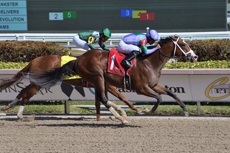My Prankster wins the 2022 Swale Stakes at Gulfstream Park