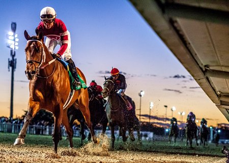 Epicenter wins the Risen Star Stakes at Fair Grounds Race Course