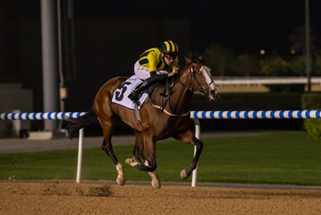 Shahama wins the One Thousand Guineas at Meydan