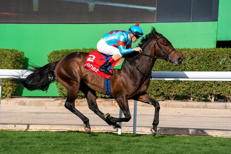 Authority wins the Neom Turf Cup Stakes at King Abdulaziz Racecourse