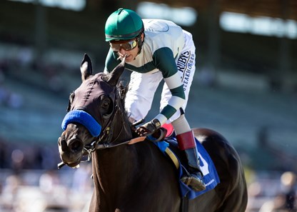 Adare Manor - Horse Profile - BloodHorse