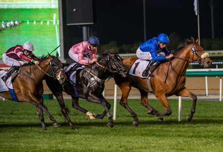 Star Safari wins the Zabeel Turf at Meydan 