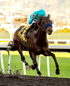 Blackadder gets up late to win the El Camino Real Derby at Golden Gate Fields 