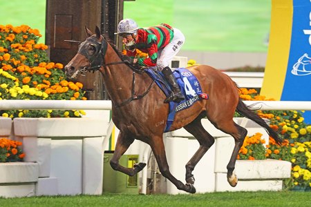 Russian Emperor wins the Hong Kong Gold Cup at Sha Tin Racecourse