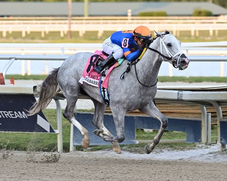 White Abarrio wins the Holy Bull Stakes at Gulfstream Park