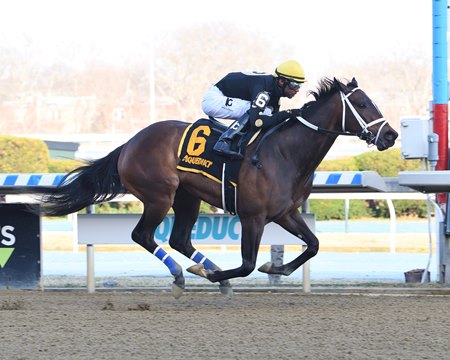 Lady Scarlet wins the Cicada Stakes at Aqueduct Racetrack