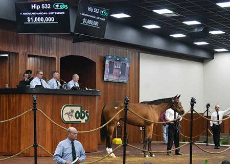 The American Pharoah filly consigned as Hip 532 in the ring at the OBS March Sale