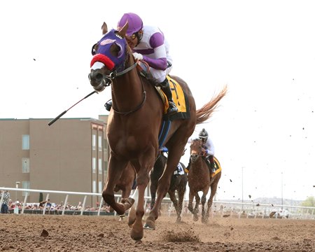 Slow Down Andy wins Sunland Park Derby at Sunland Park