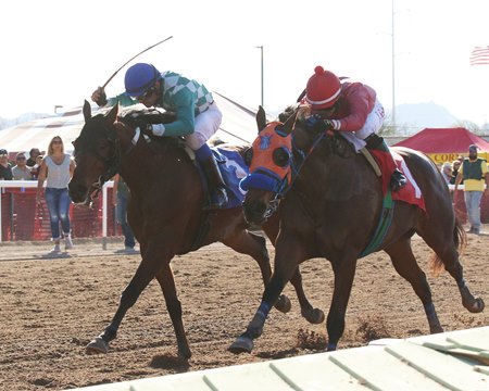 Mattress Mack' gets into horse racing