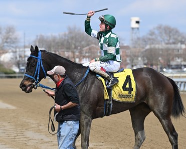 Witch Hunter - Horse Profile - BloodHorse