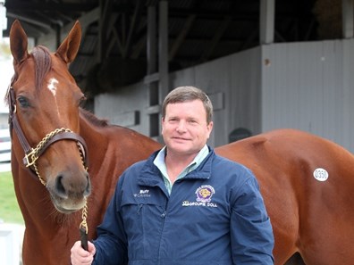 Groupie Doll - Horse Profile - BloodHorse