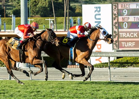 Acclimate Takes Them All the Way in San Luis Rey - BloodHorse