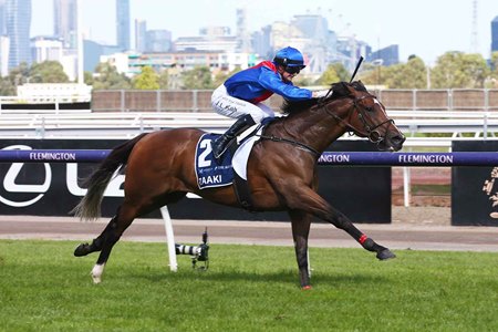 Zaaki wins the All Star Mile at Flemington Racecourse 