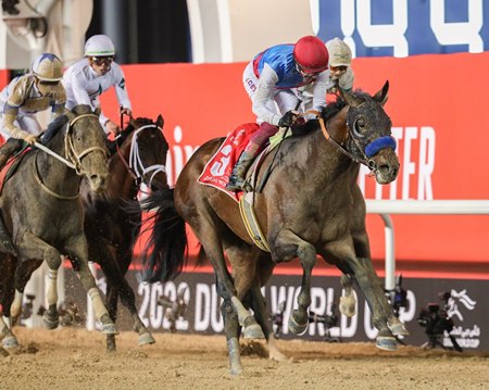 Country Grammer wins the 2022 Dubai World Cup at Meydan Racecourse